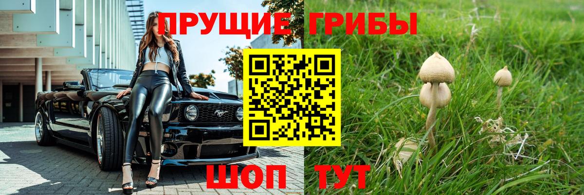 Галлюциногенные грибы мухоморы Санкт-Петербург
