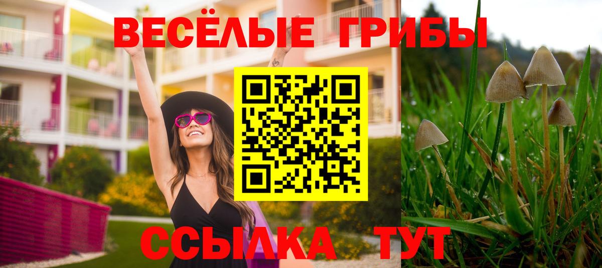 Псилоцибиновые грибы Cubensis  Псилоцибиновые грибы ЛСД  Вход с VPN  Санкт-Петербург 